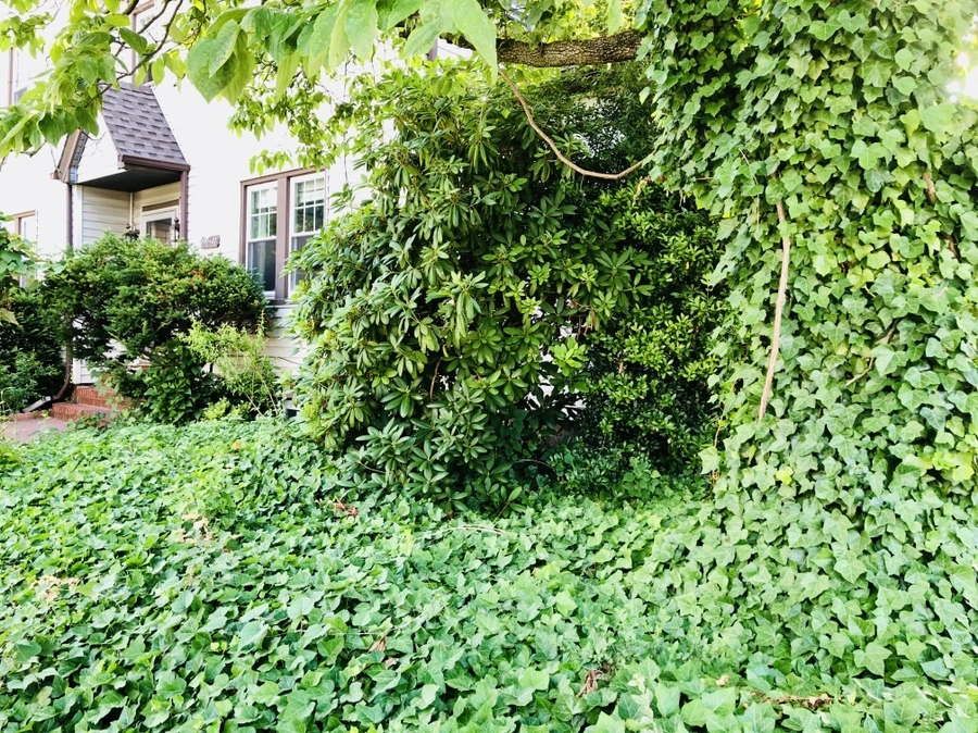 IMG_1167.jpg?type=w966