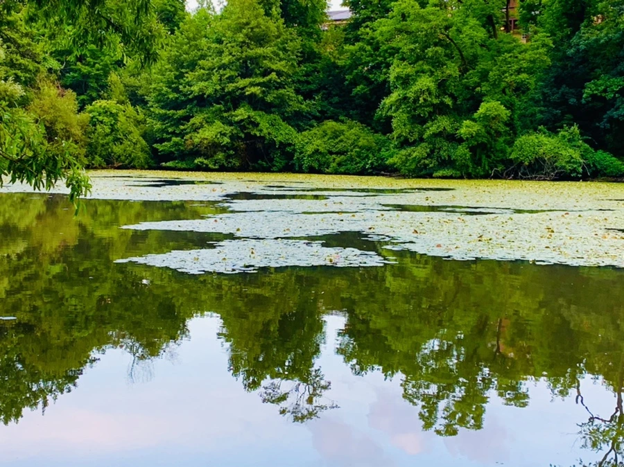 IMG_2983.jpg?type=w966