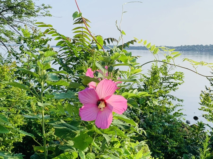 IMG_5898.jpg?type=w966