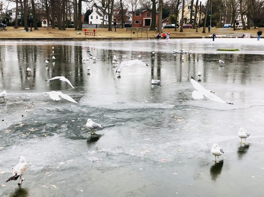 IMG_8267.jpg?type=w966