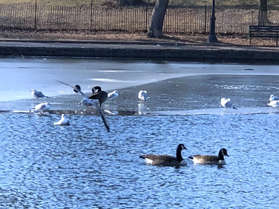 IMG_6579.jpg?type=w966