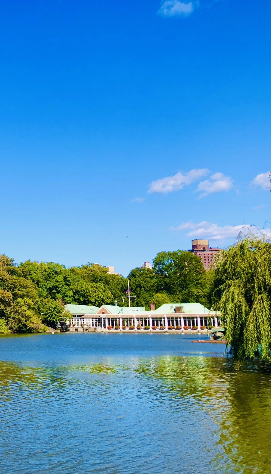 IMG_1662.jpg?type=w966