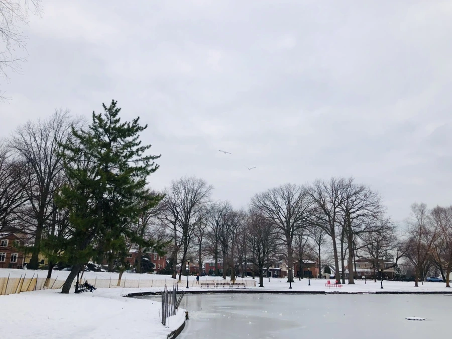 IMG_7572.jpg?type=w966