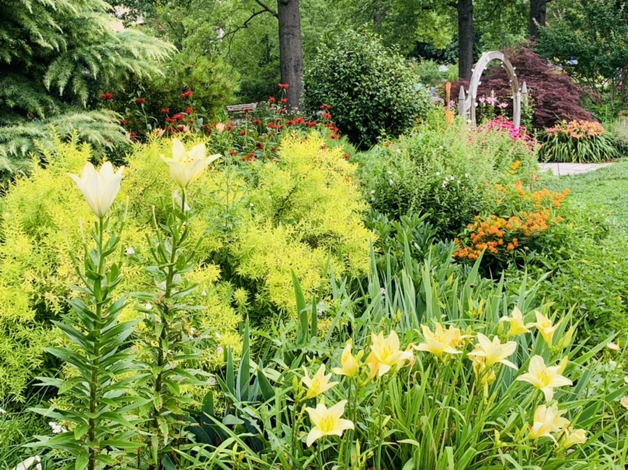 IMG_0417.jpg?type=w966