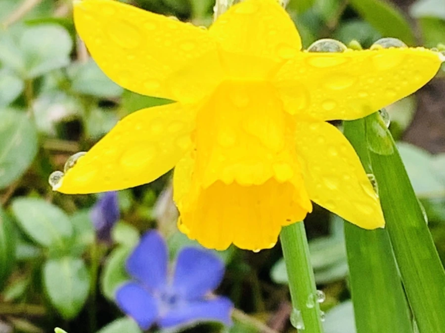 IMG_3725.jpg?type=w966