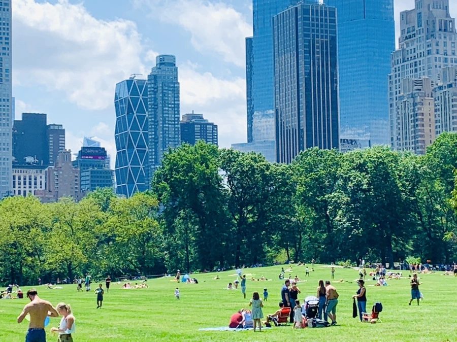 IMG_5388.jpg?type=w966