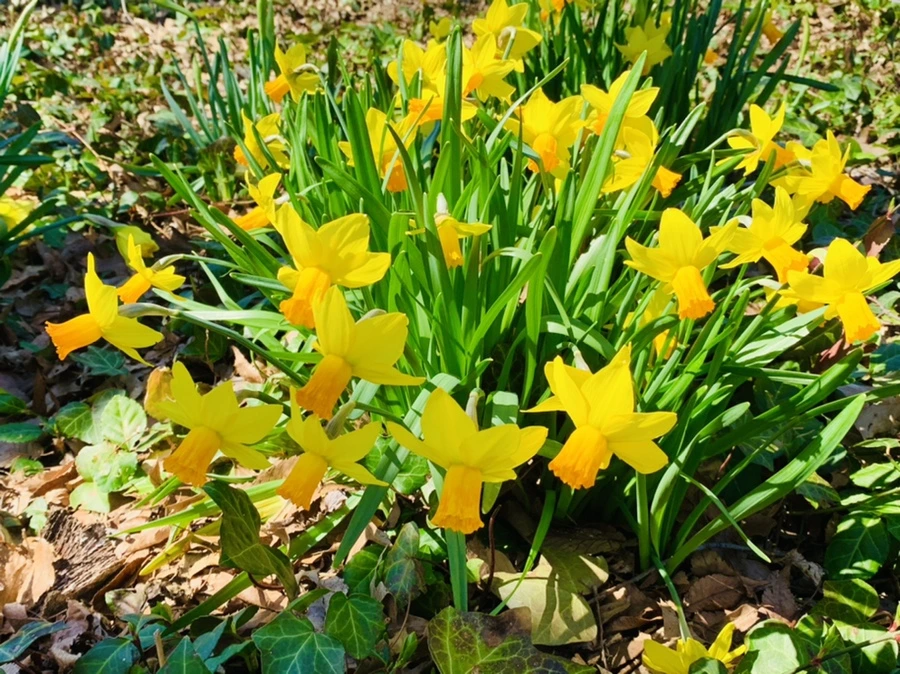 IMG_5698.jpg?type=w966