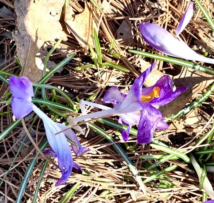 IMG_1461.jpg?type=w966