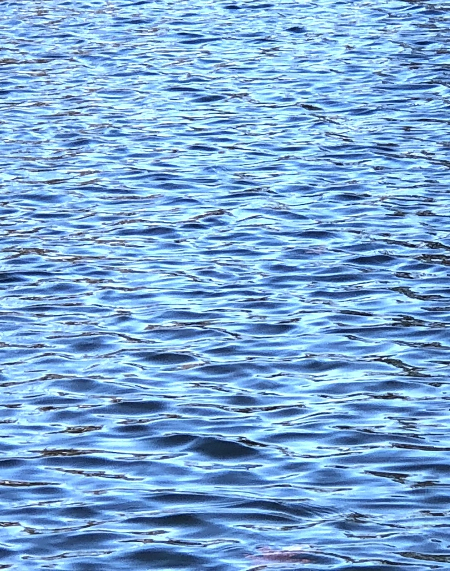 IMG_3897.jpg?type=w966