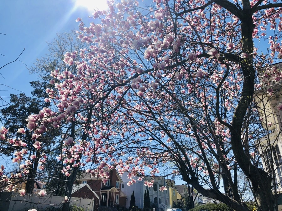 IMG_3019.jpg?type=w966