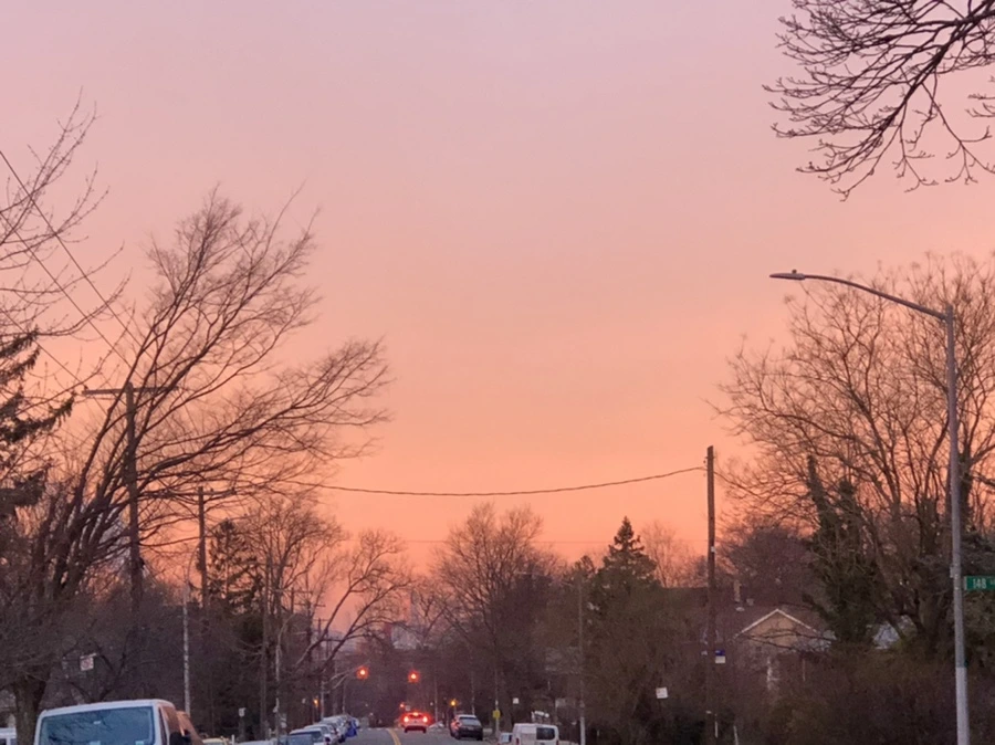 IMG_1903.jpg?type=w966