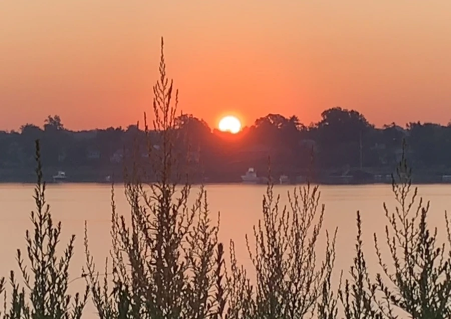 IMG_7179.jpg?type=w966