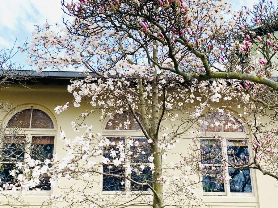 IMG_7165.jpg?type=w966