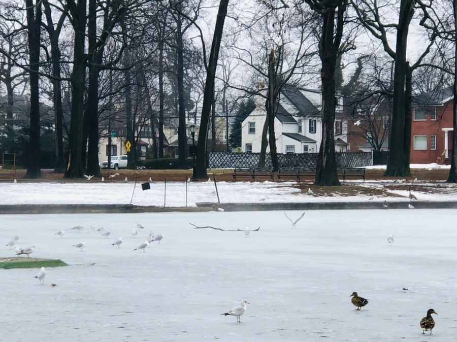 IMG_5745.jpg?type=w966