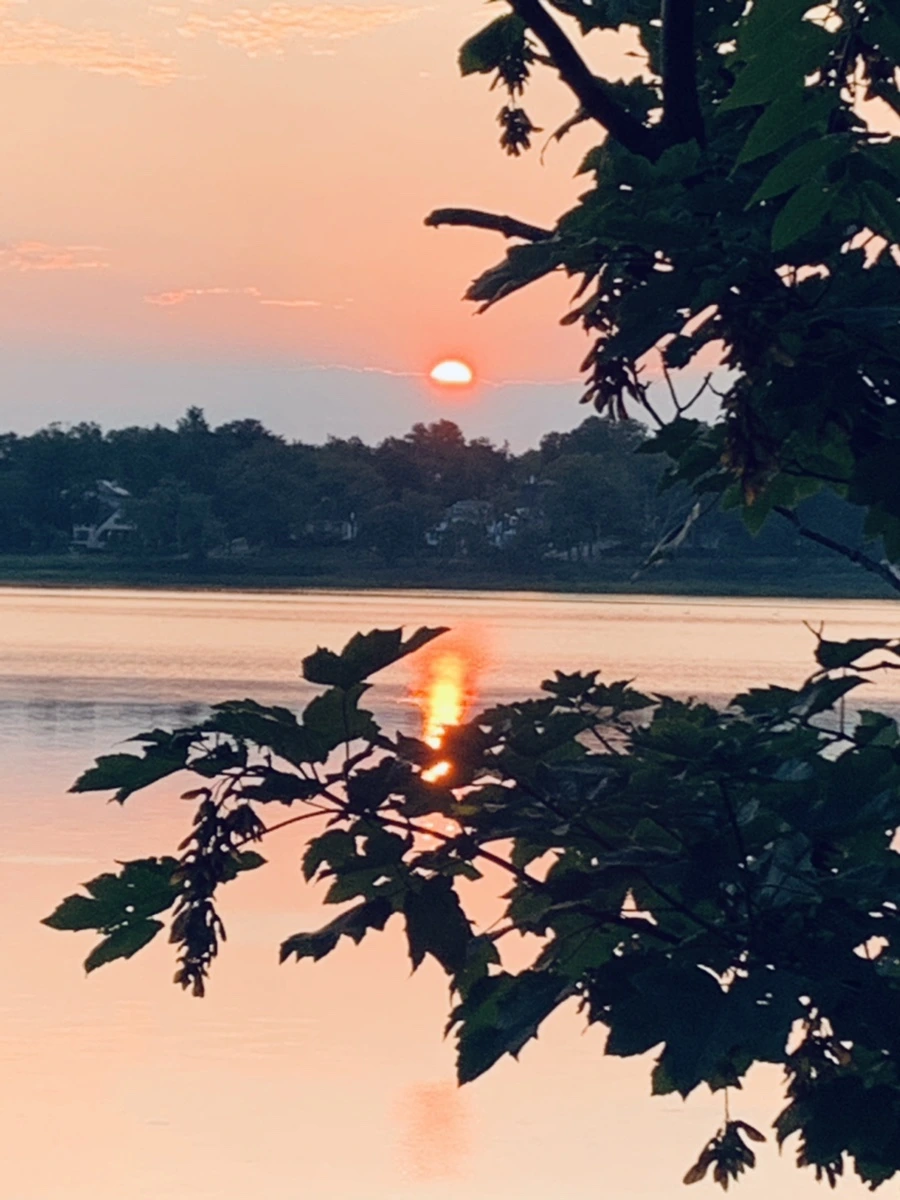 IMG_4654.jpg?type=w966