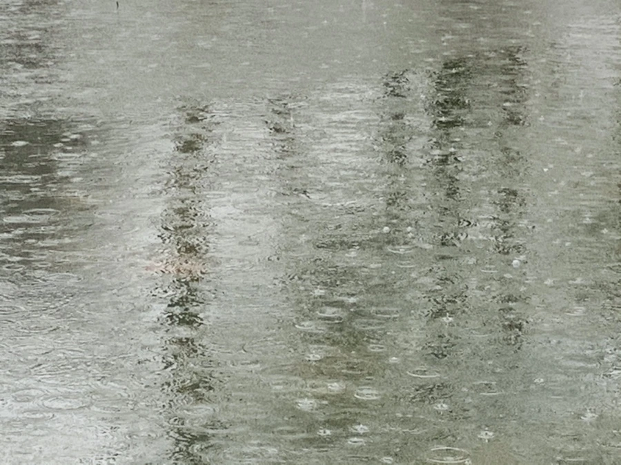 IMG_2108.jpg?type=w966