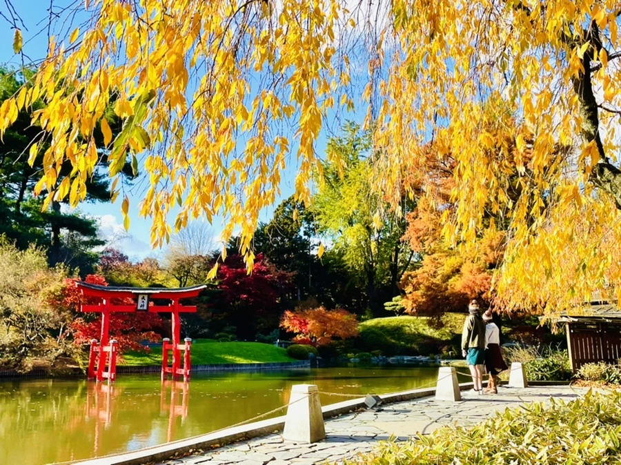 IMG_3161.jpg?type=w966