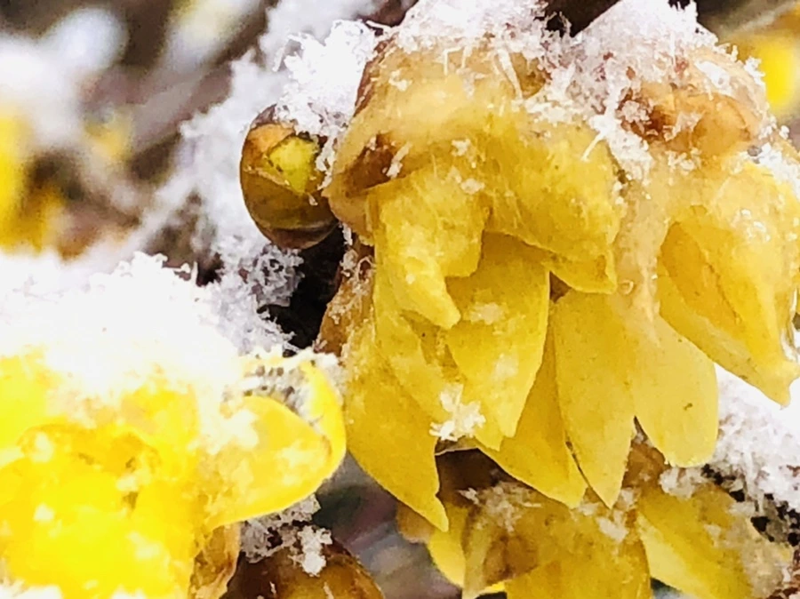 IMG_3533.jpg?type=w966