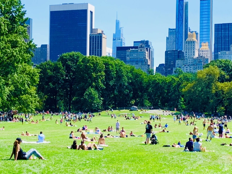 IMG_4420.jpg?type=w966