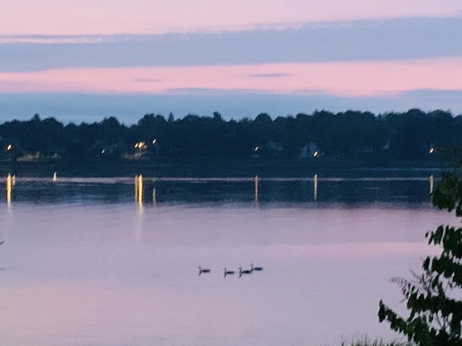 IMG_9443.jpg?type=w966