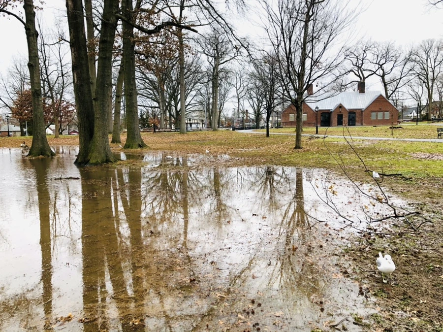 IMG_9375.jpg?type=w966