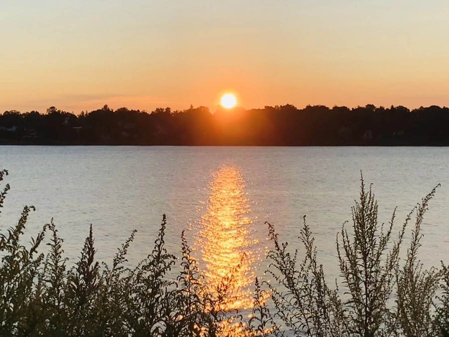 IMG_9566.jpg?type=w966