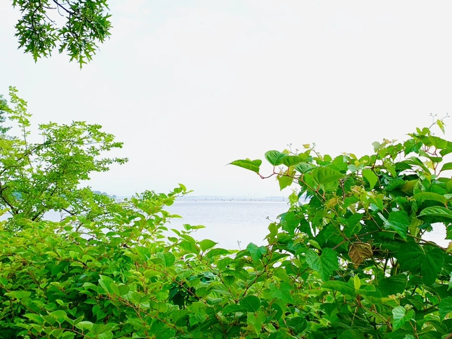 IMG_2269.jpg?type=w966