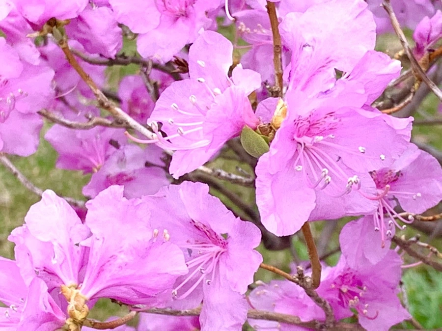 IMG_5973.jpg?type=w966