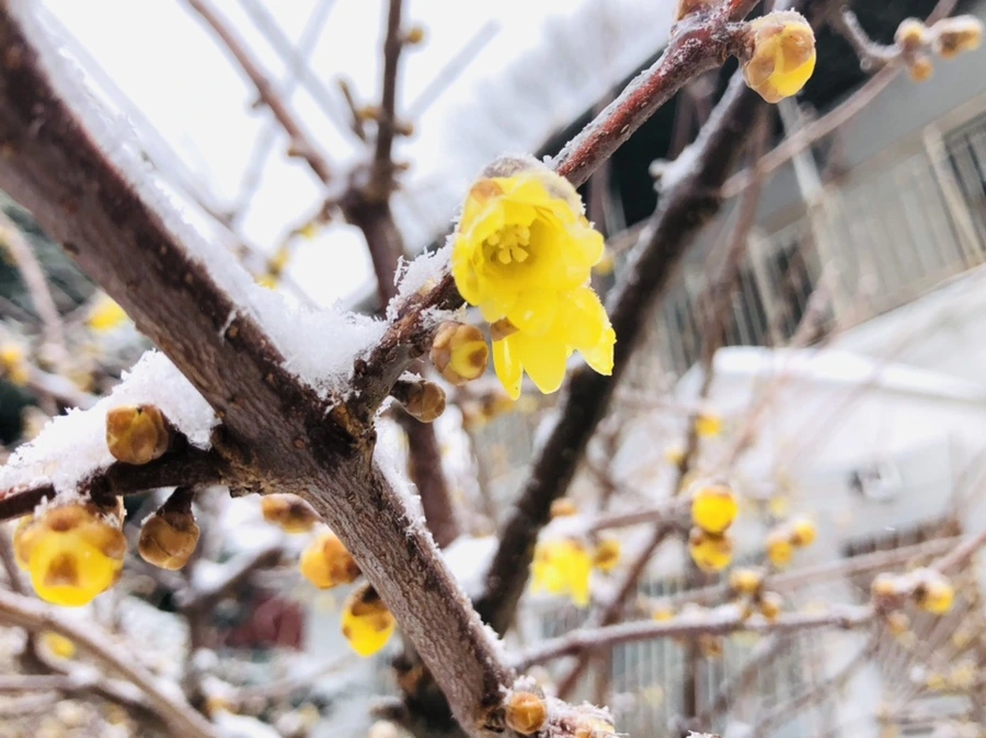 IMG_3535.jpg?type=w966