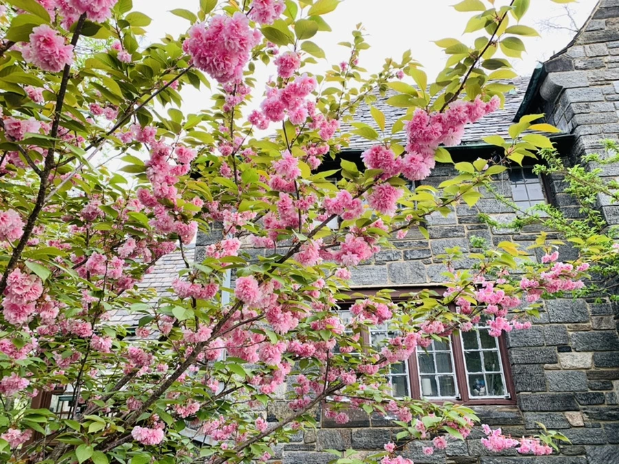 IMG_8973.jpg?type=w966