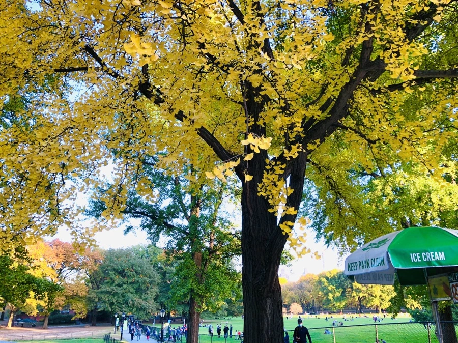 IMG_3652.jpg?type=w966