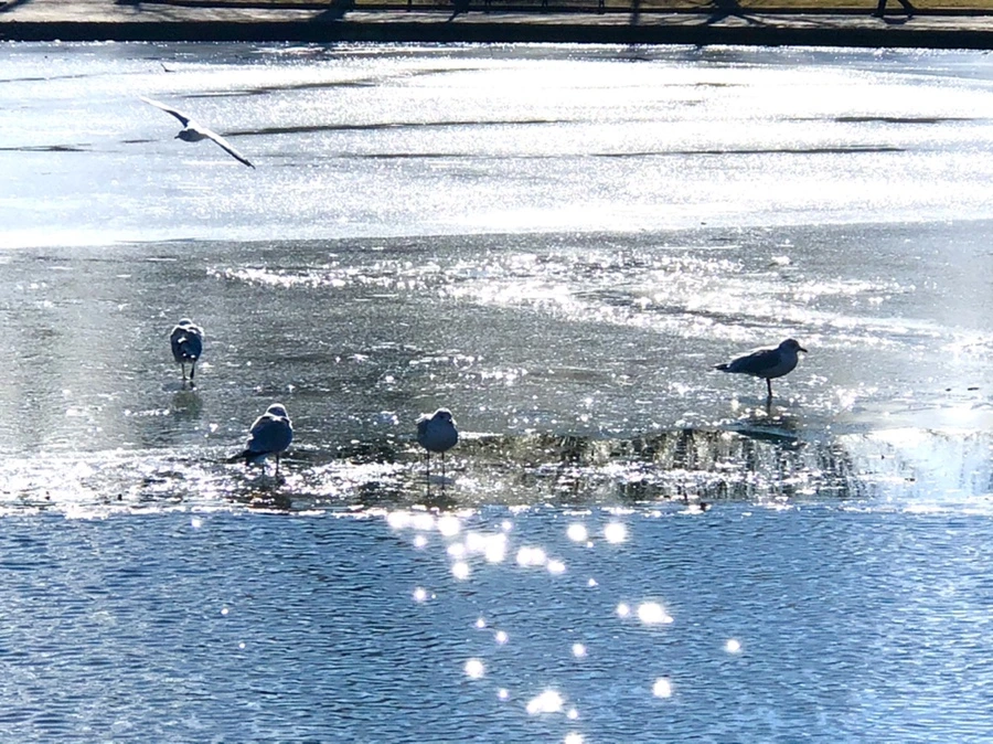 IMG_6841.jpg?type=w966