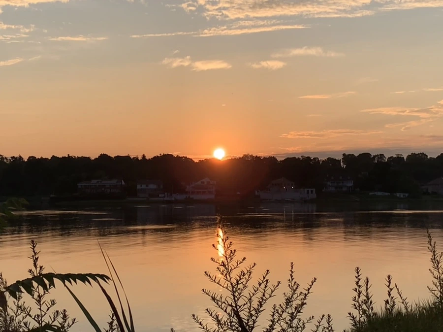 IMG_1273.jpg?type=w966