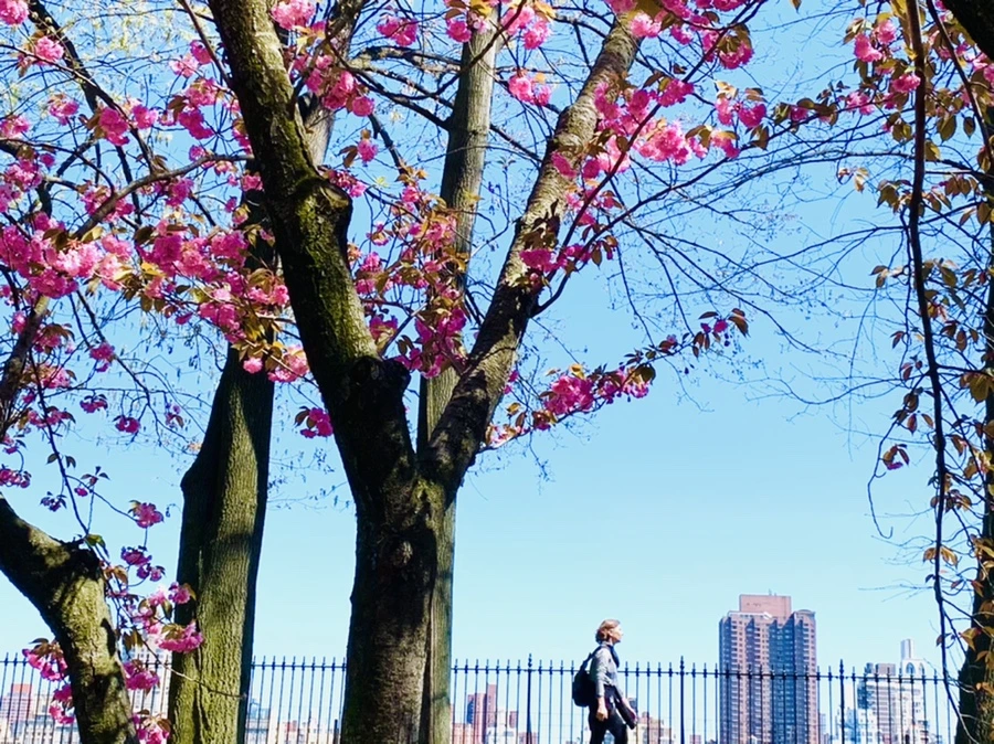 IMG_5813.jpg?type=w966