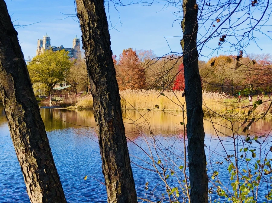 IMG_5310.jpg?type=w966