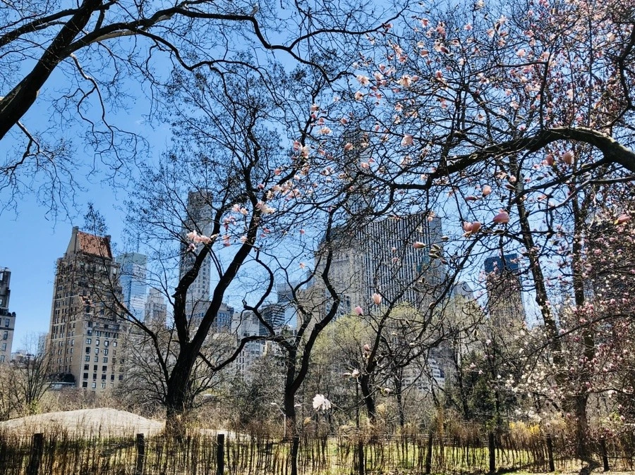 -RvoPszcngoix52VM5_OCubbShU