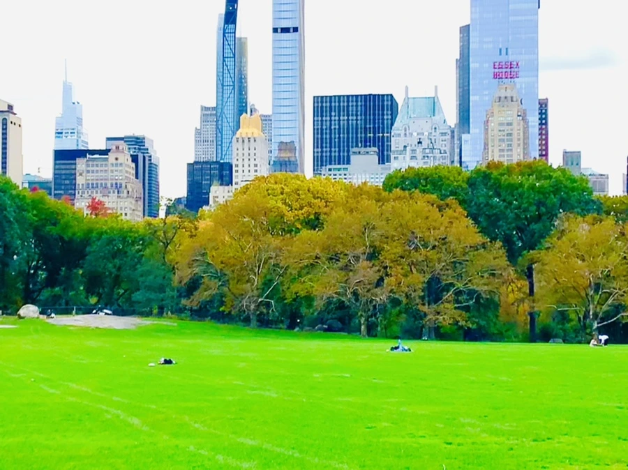 IMG_0226.jpg?type=w966