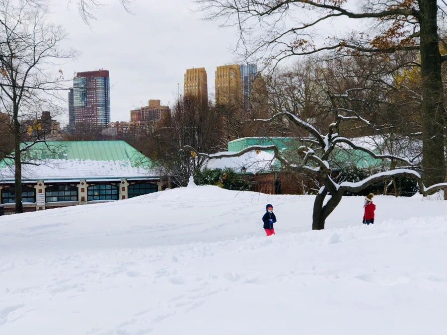 IMG_7338.jpg?type=w966