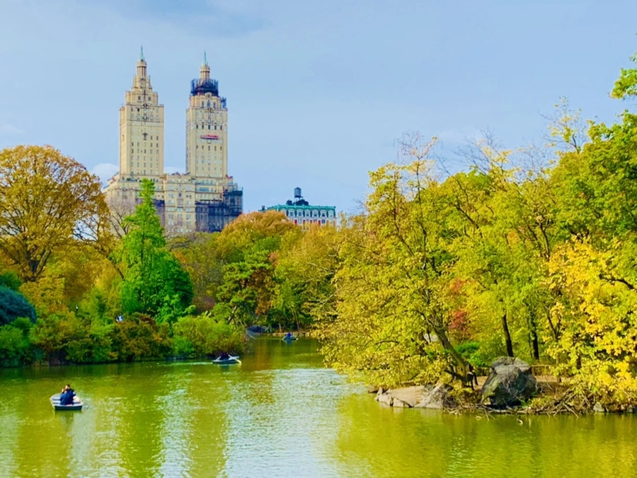 IMG_0146.jpg?type=w966