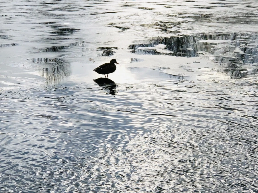 IMG_5023.jpg?type=w966