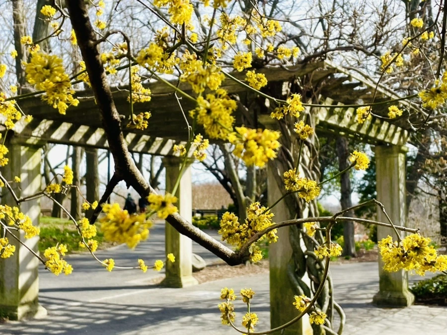 IMG_6652.jpg?type=w966