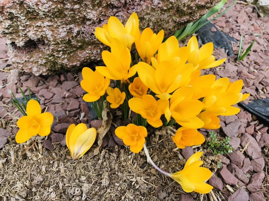 IMG_1086.jpg?type=w966