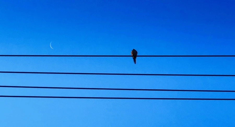 A-1Ex7bPTr7wIr47o16Q266lEn8