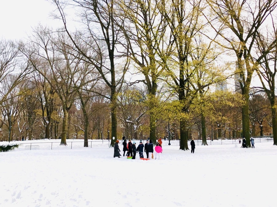 IMG_7100.jpg?type=w966