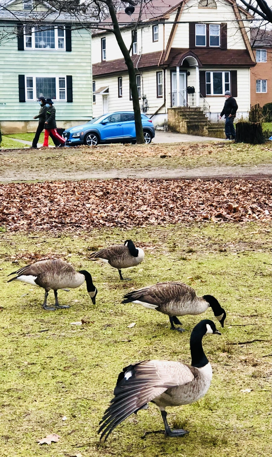 IMG_3351.jpg?type=w966