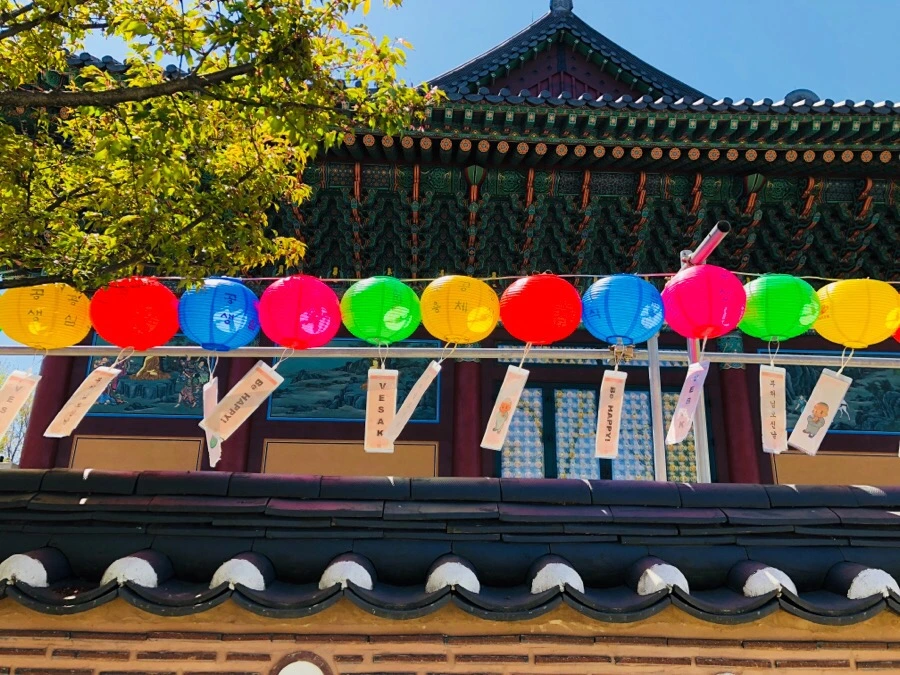 IMG_5248.jpg?type=w966