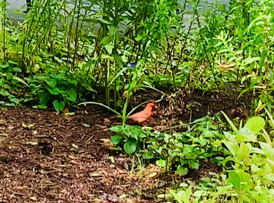 IMG_7365.jpg?type=w966