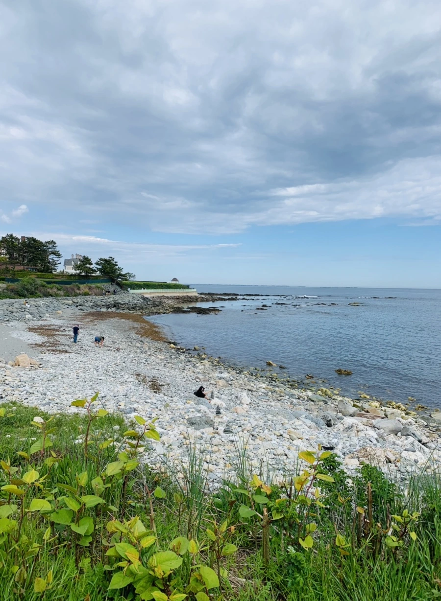 IMG_2746.jpg?type=w966