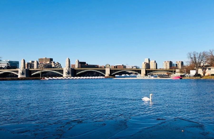 IMG_7991.jpg?type=w966