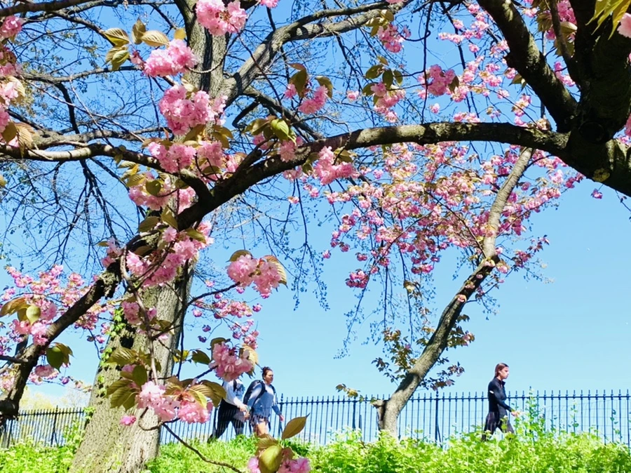 IMG_5851.jpg?type=w966